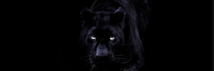 MLB1_'s profile banner image