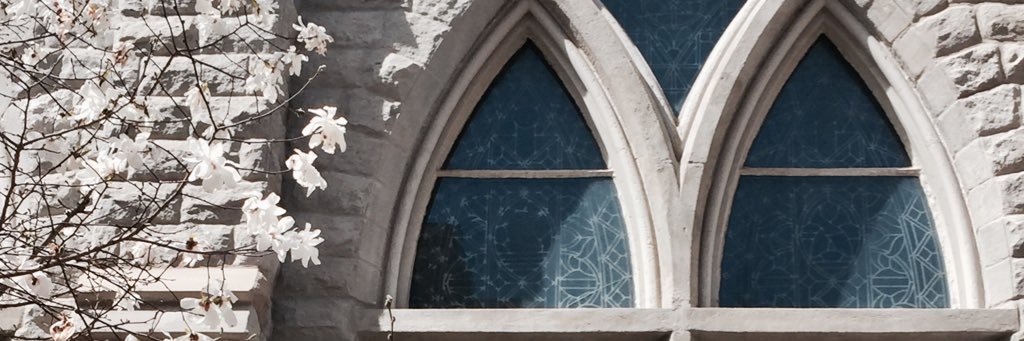 ClaireFogle's profile banner image
