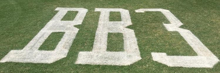 Rollins Baseball banner