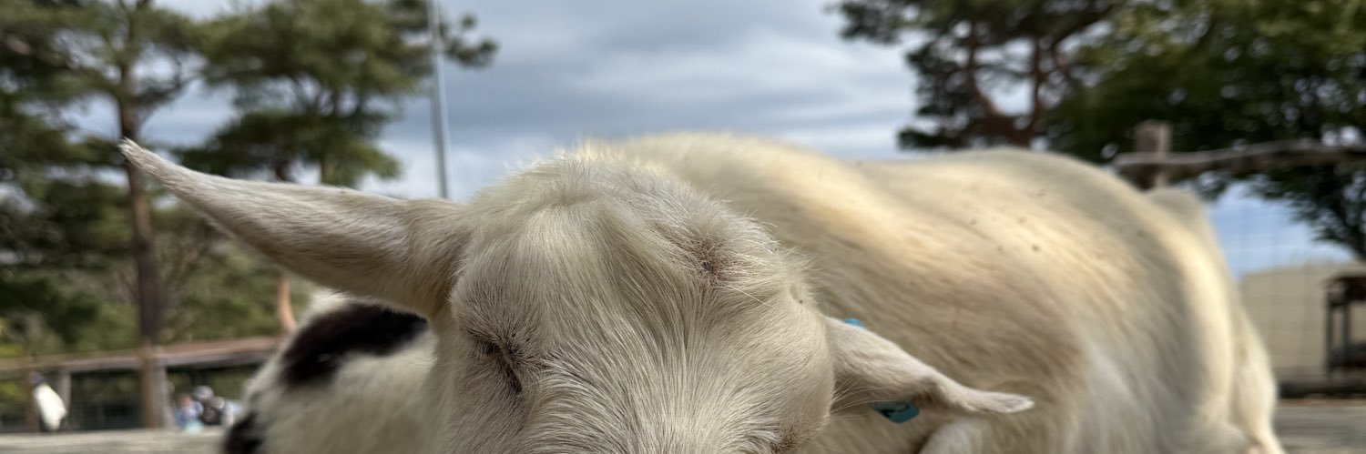 ピーナッツだったり、もんぷちだったり banner