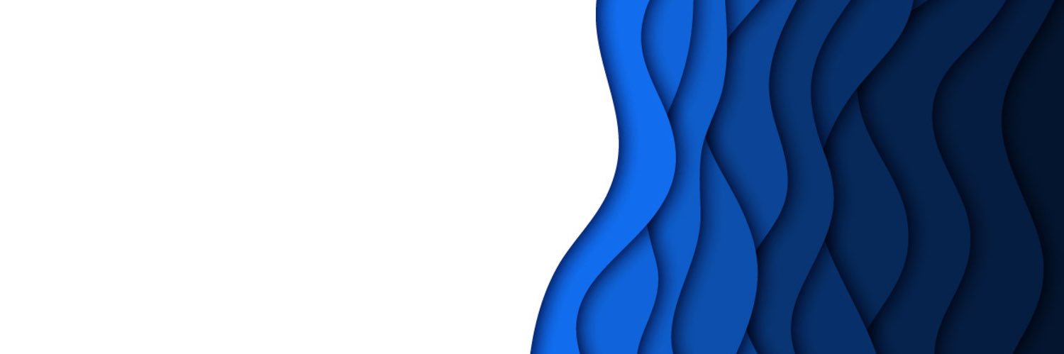 Echo Sixty One's banner