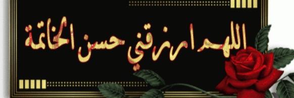 Manal Hanieh banner