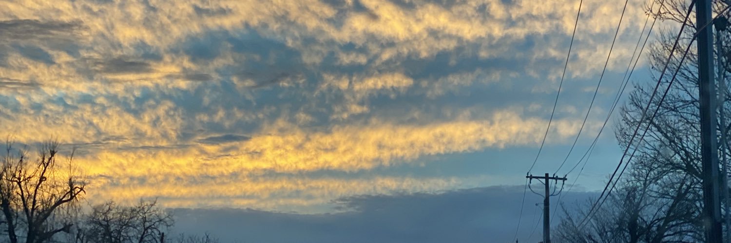 graciegarretson's profile banner image