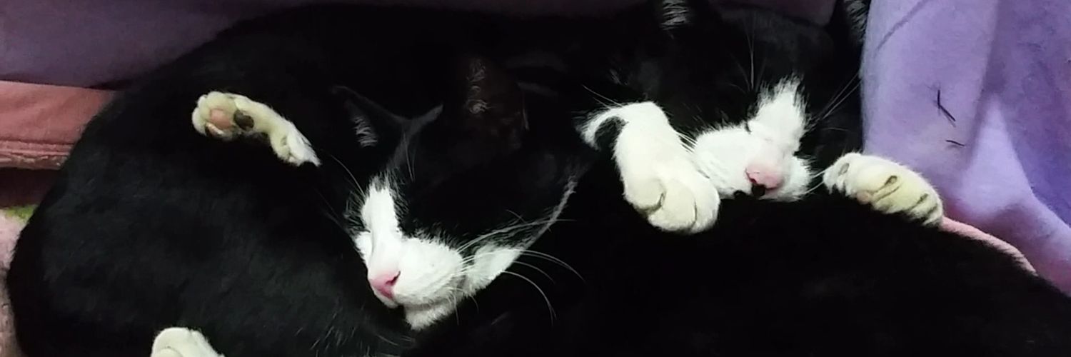 makuro2020's profile banner image