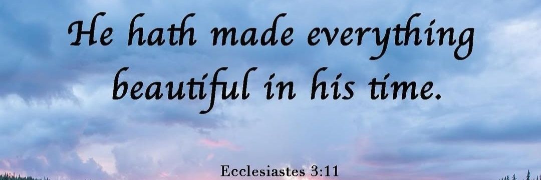 timothy101busi's profile banner image