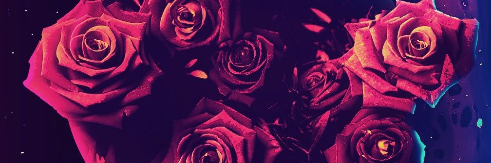 008Dg's profile banner image