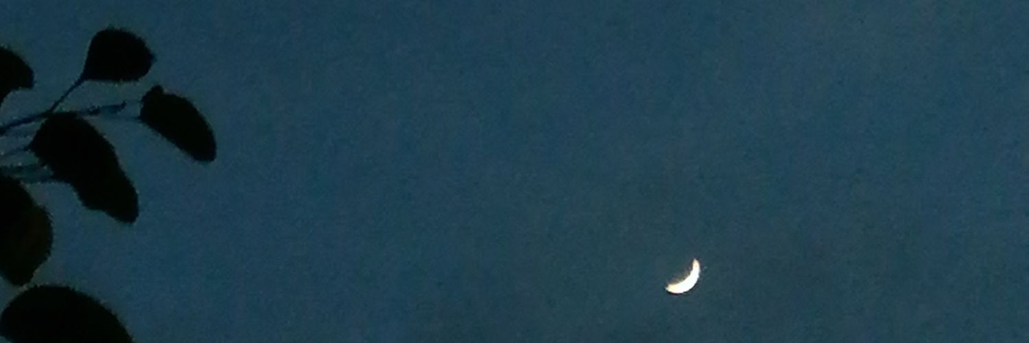 CalvoCCar's profile banner image