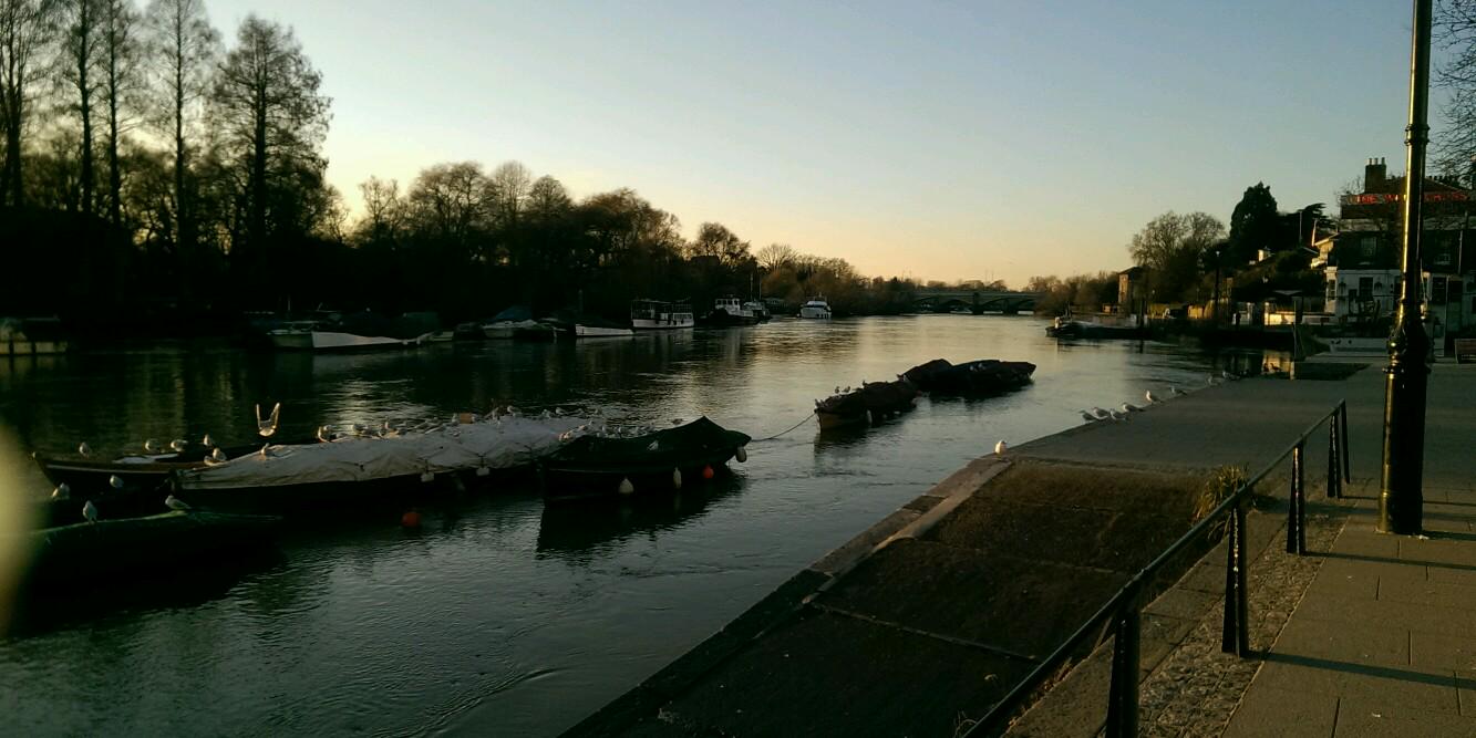 Dominic Herbert banner