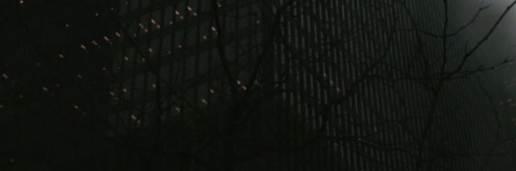 alkimozyuzer's profile banner image