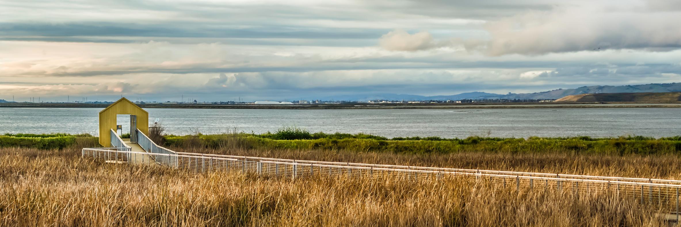 D4CouncilManh's profile banner image