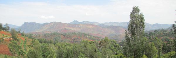 ajmargenot Profile Banner
