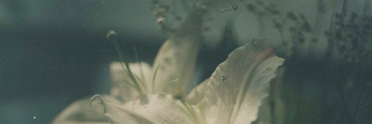 ‏َ banner