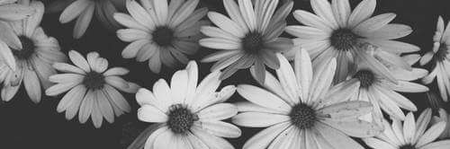 JessiiRomero2's profile banner image