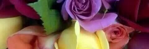 ali__78787's profile banner image