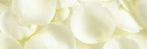 Lutufka's profile banner image
