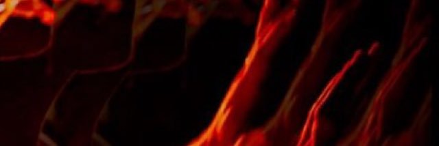 MAKELOVE banner