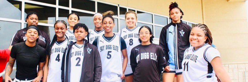 Sky Digg Elite Dallas banner