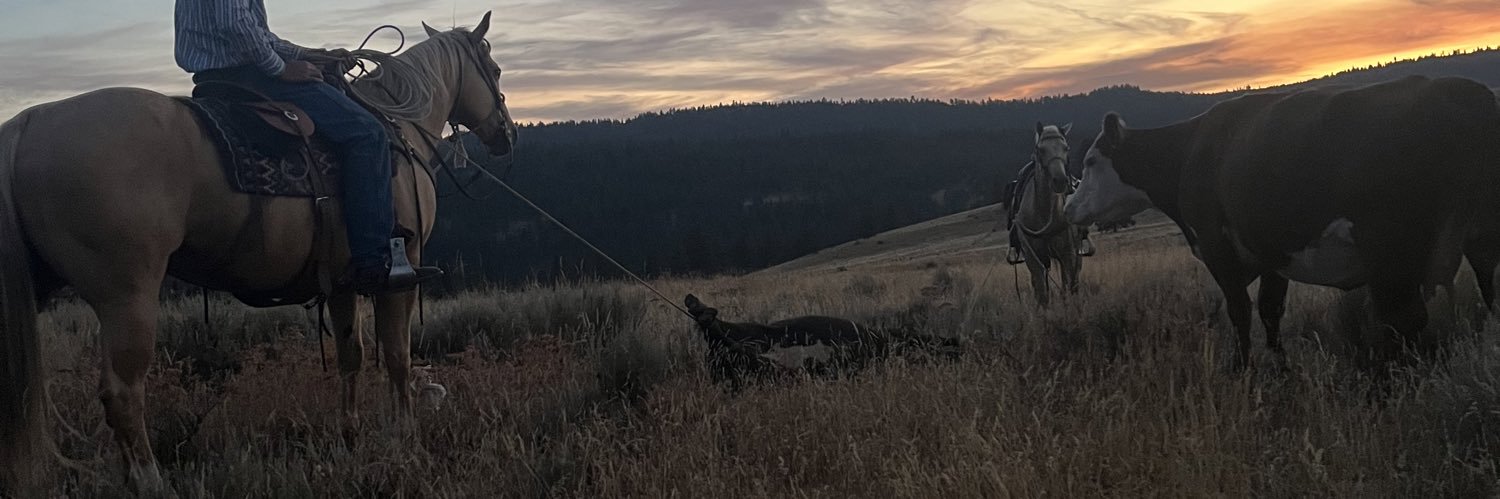 Jakeb_17's profile banner image