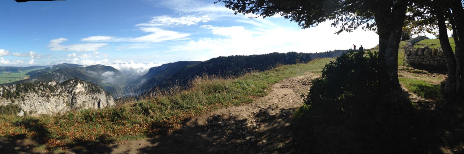 Lost Frequencies banner