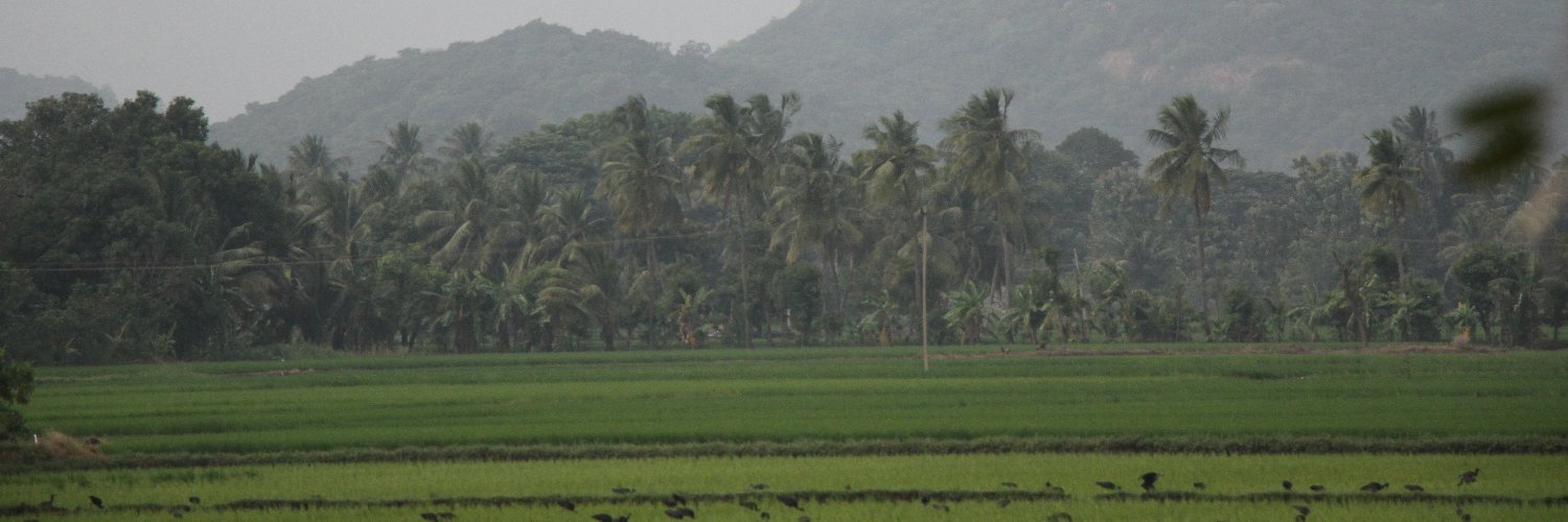 veyyonmedia's profile banner image