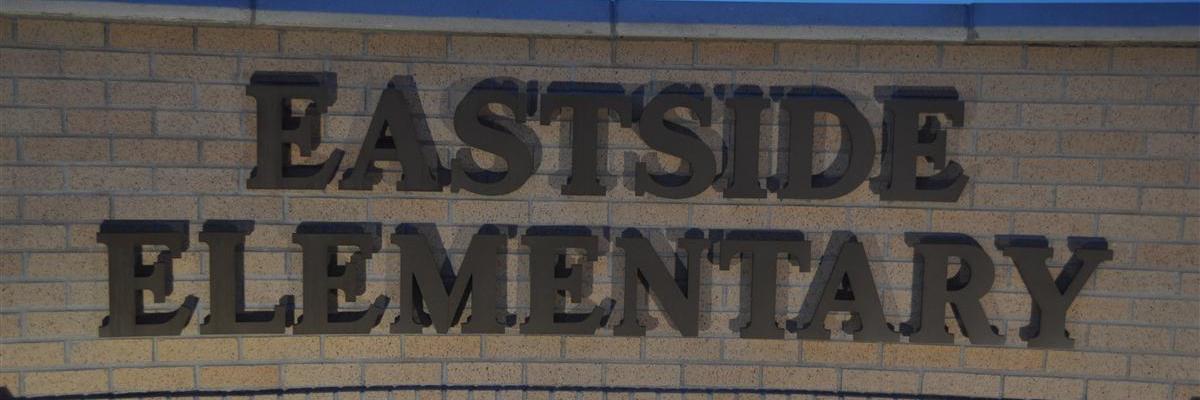 eagles_elem's profile banner image