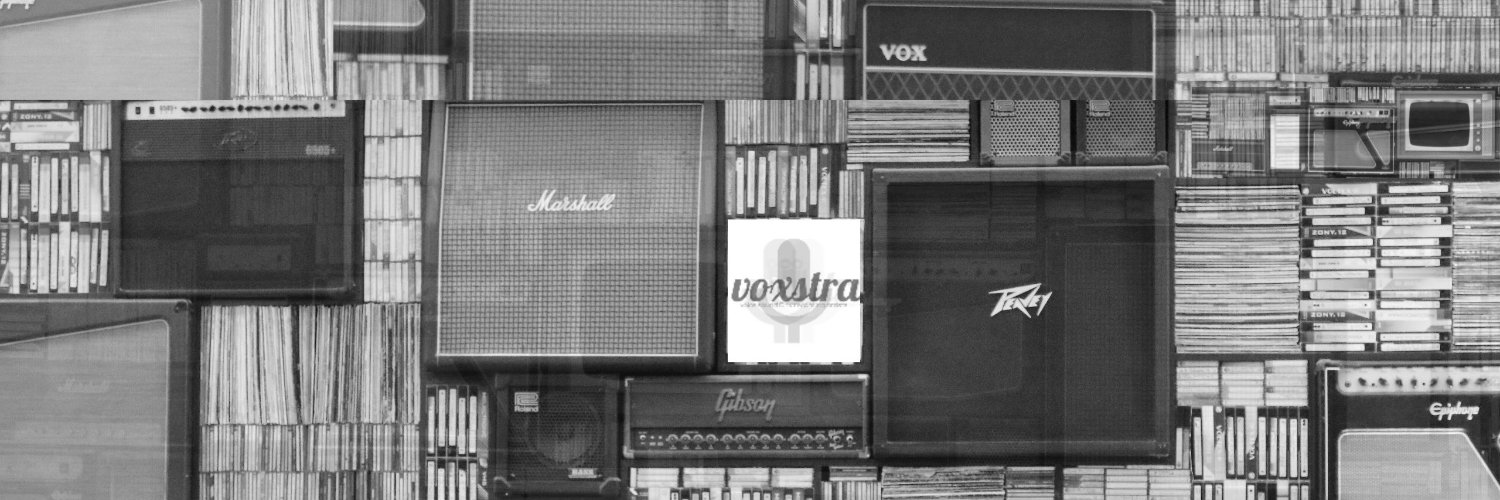 voxstra's profile banner image