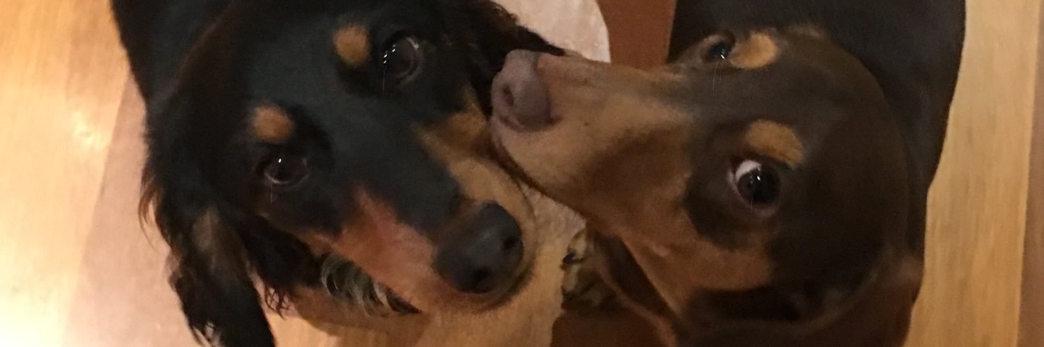 mark_jwilson's profile banner image