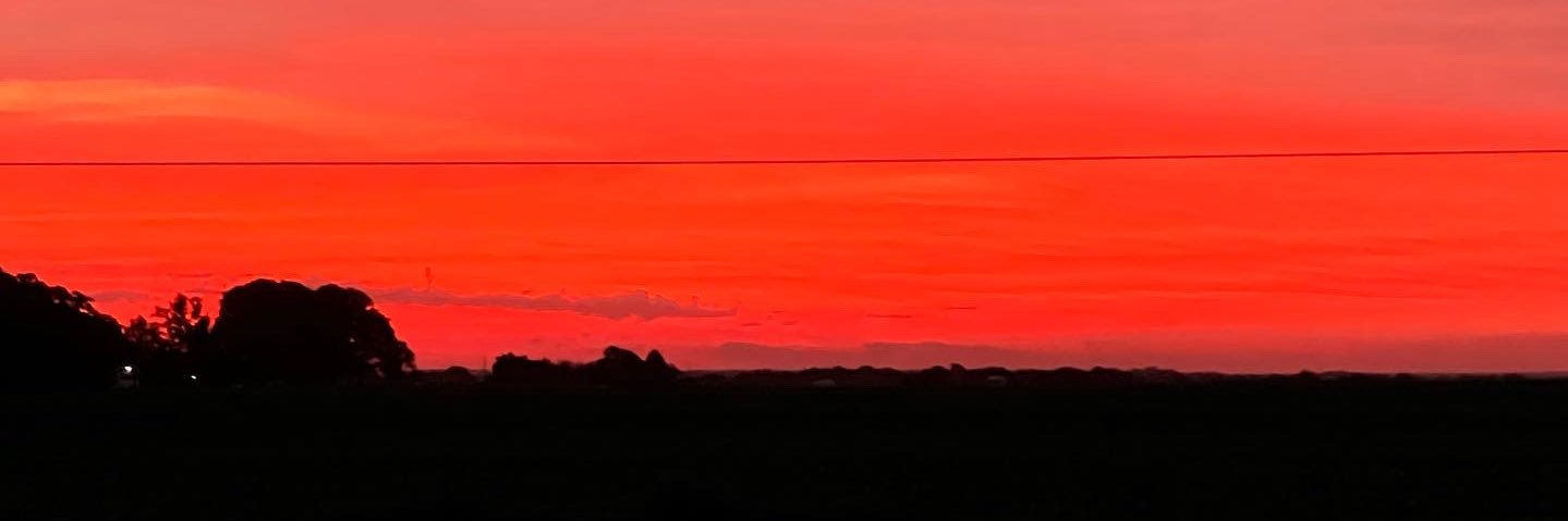 elizababeth___'s profile banner image
