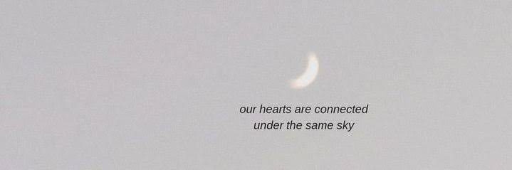 Aly banner