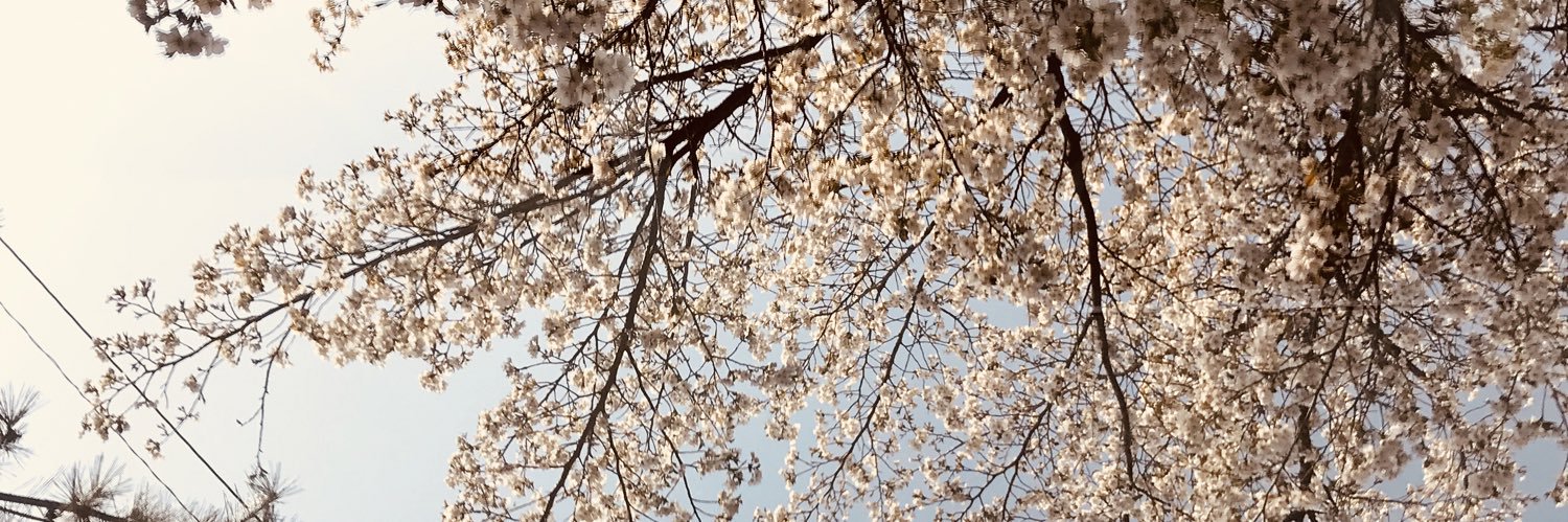 mitsu_gess's profile banner image