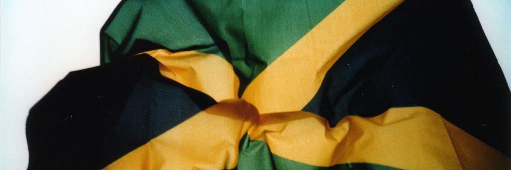 Dancehall airhorn banner