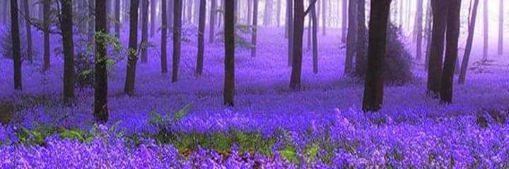 amraw2302's profile banner image