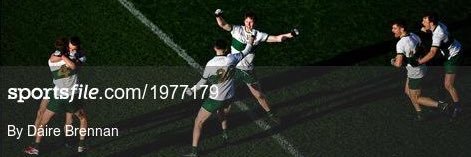 Paudie Feehan banner