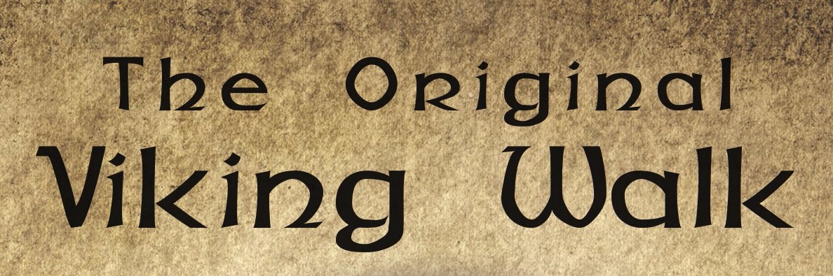 VikingWalk's profile banner image