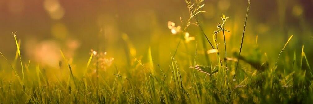 Ludwig Von Mises banner