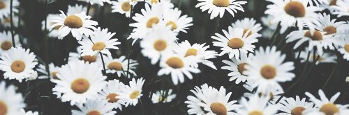 han_j123's profile banner image
