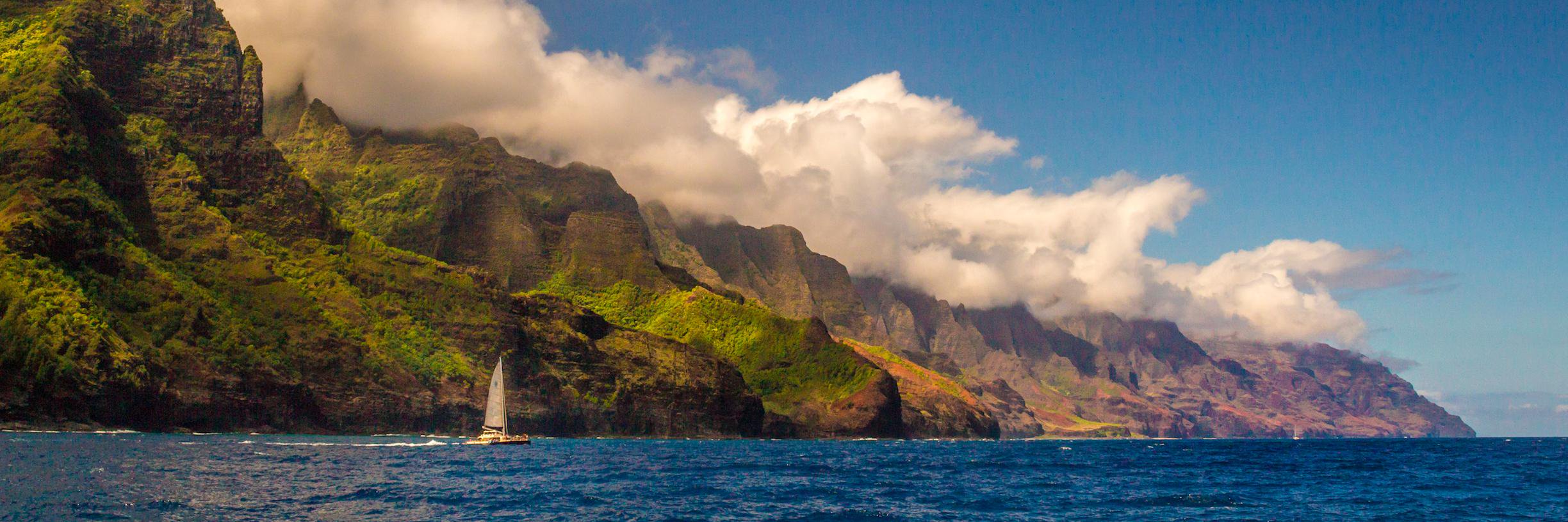 Your Local Cousin banner