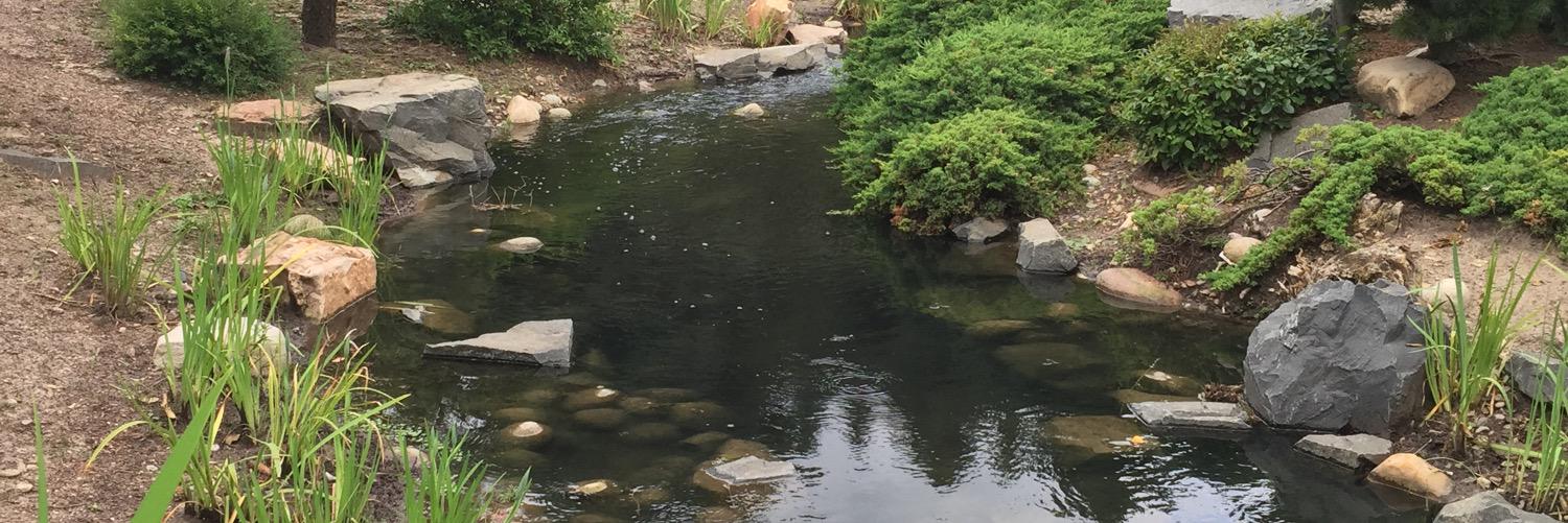 Precious Bale banner