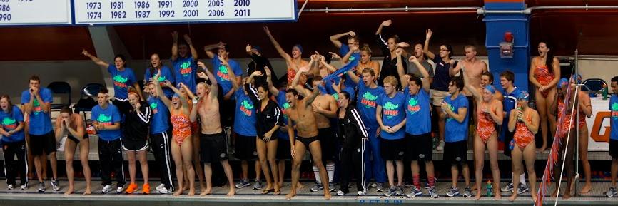 Natalie Hinds banner