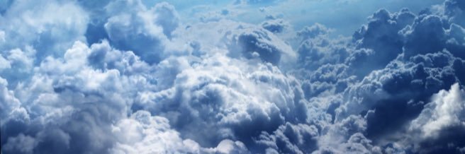 Sean Curcio banner