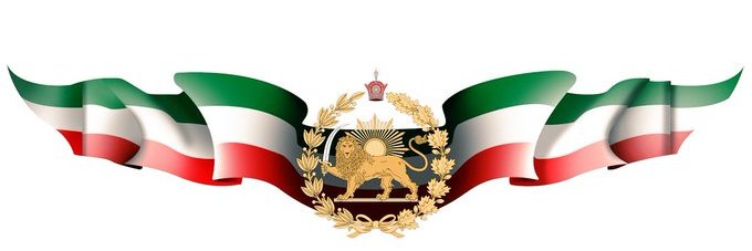 nasrin amirsedghi banner
