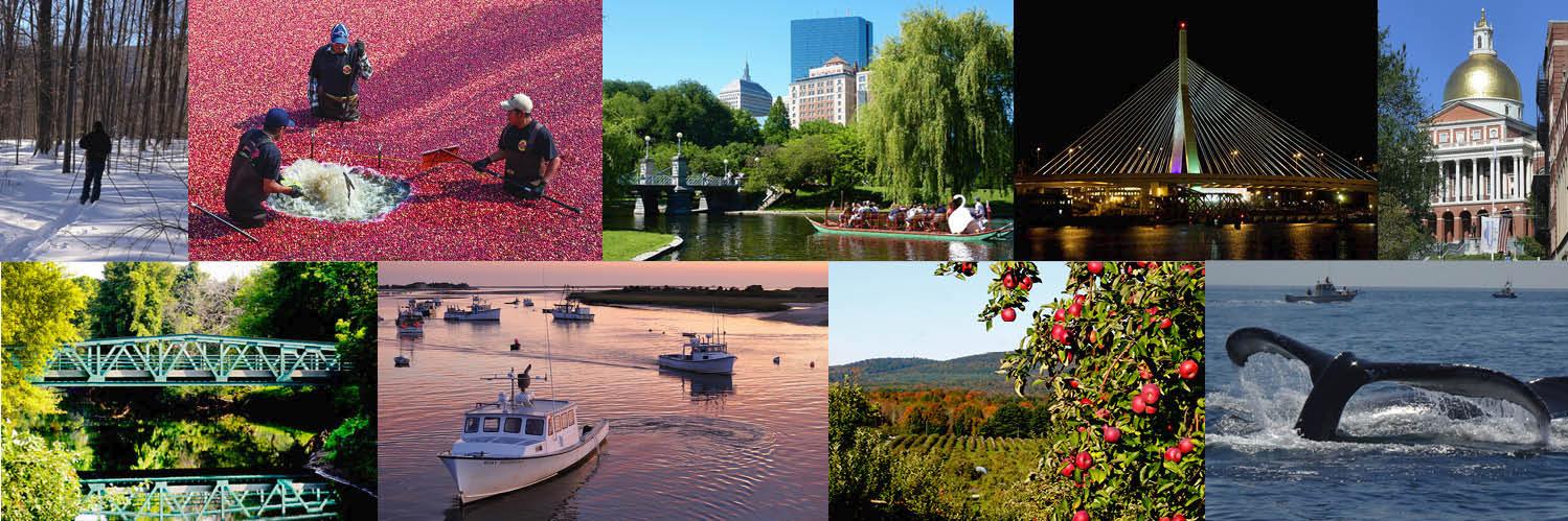 Operational Services Division banner