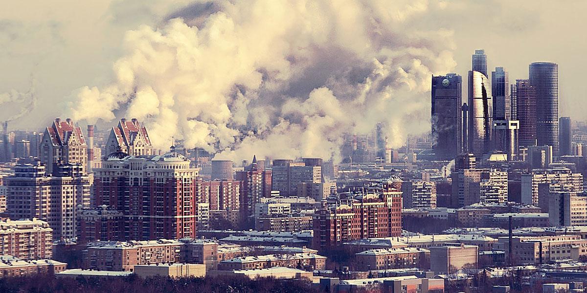 Кудрявцева   Алина banner