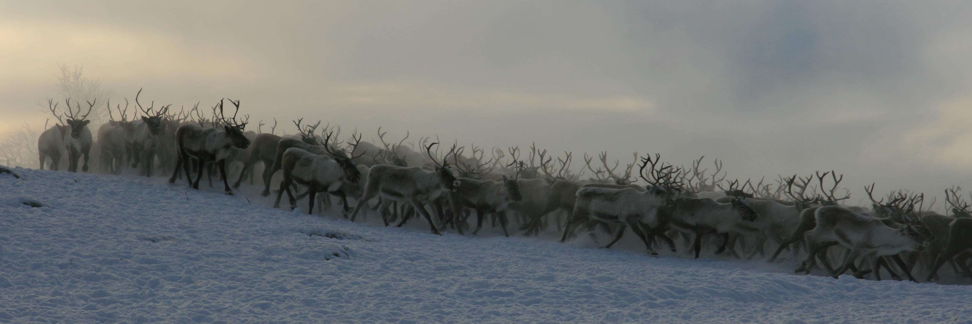 Bård-Jørgen Bårdsen banner