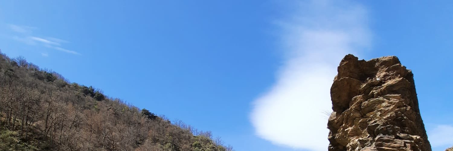 solera_mar's profile banner image