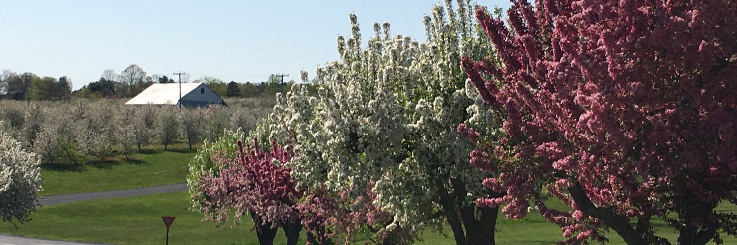 PSU TreeFruit Doctor banner