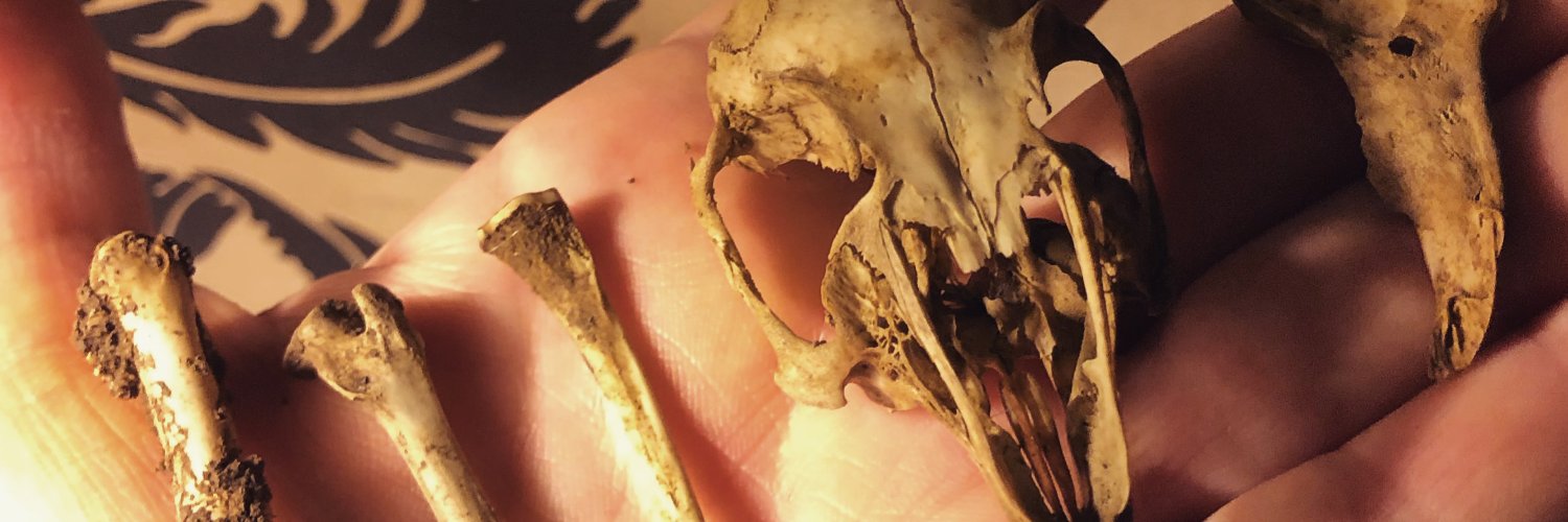 Pascalvpoet's profile banner image