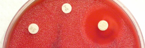 jaegc Profile Banner