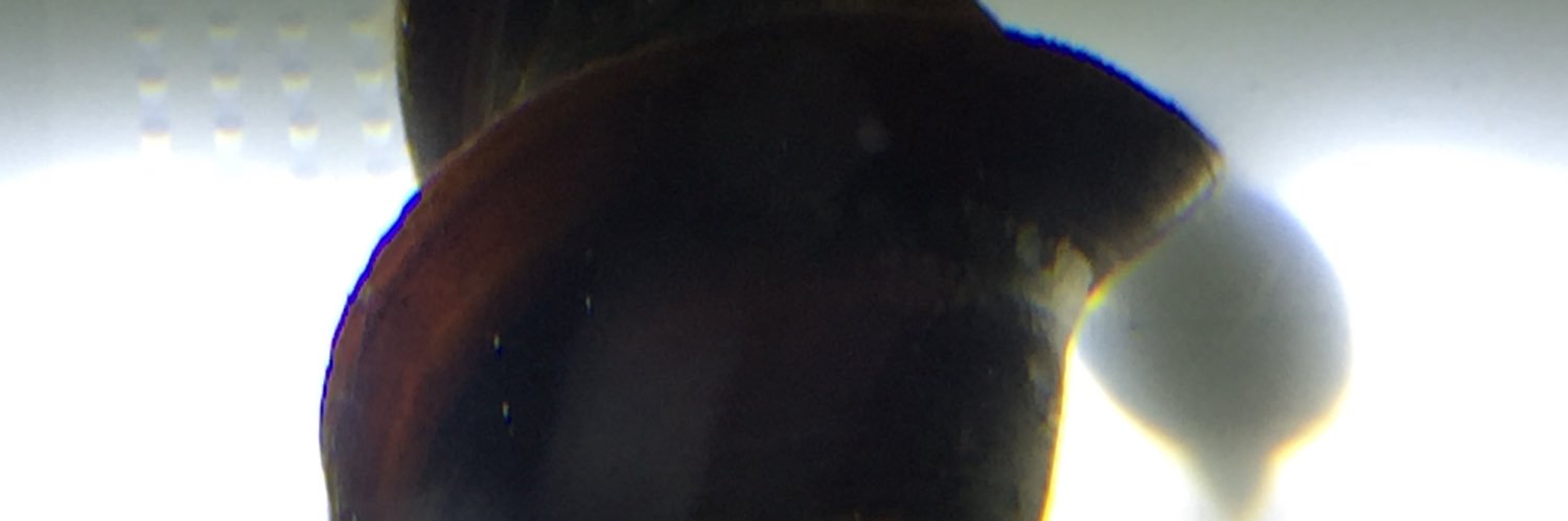 suibotsu7530's profile banner image