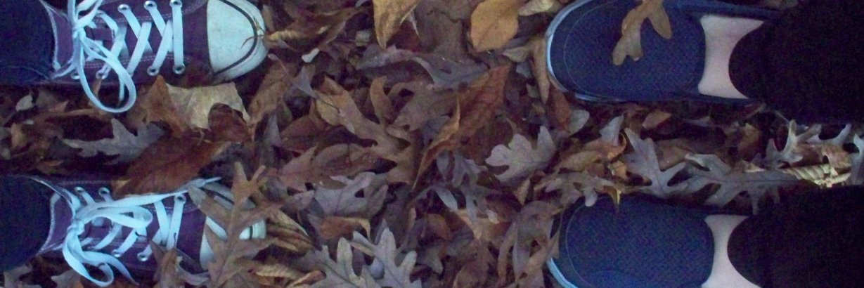 Littl3LionMan's profile banner image